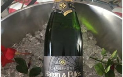Champagne Solo de Meunier – Haton et Filles