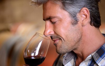Comment déguster et apprécier un vin
